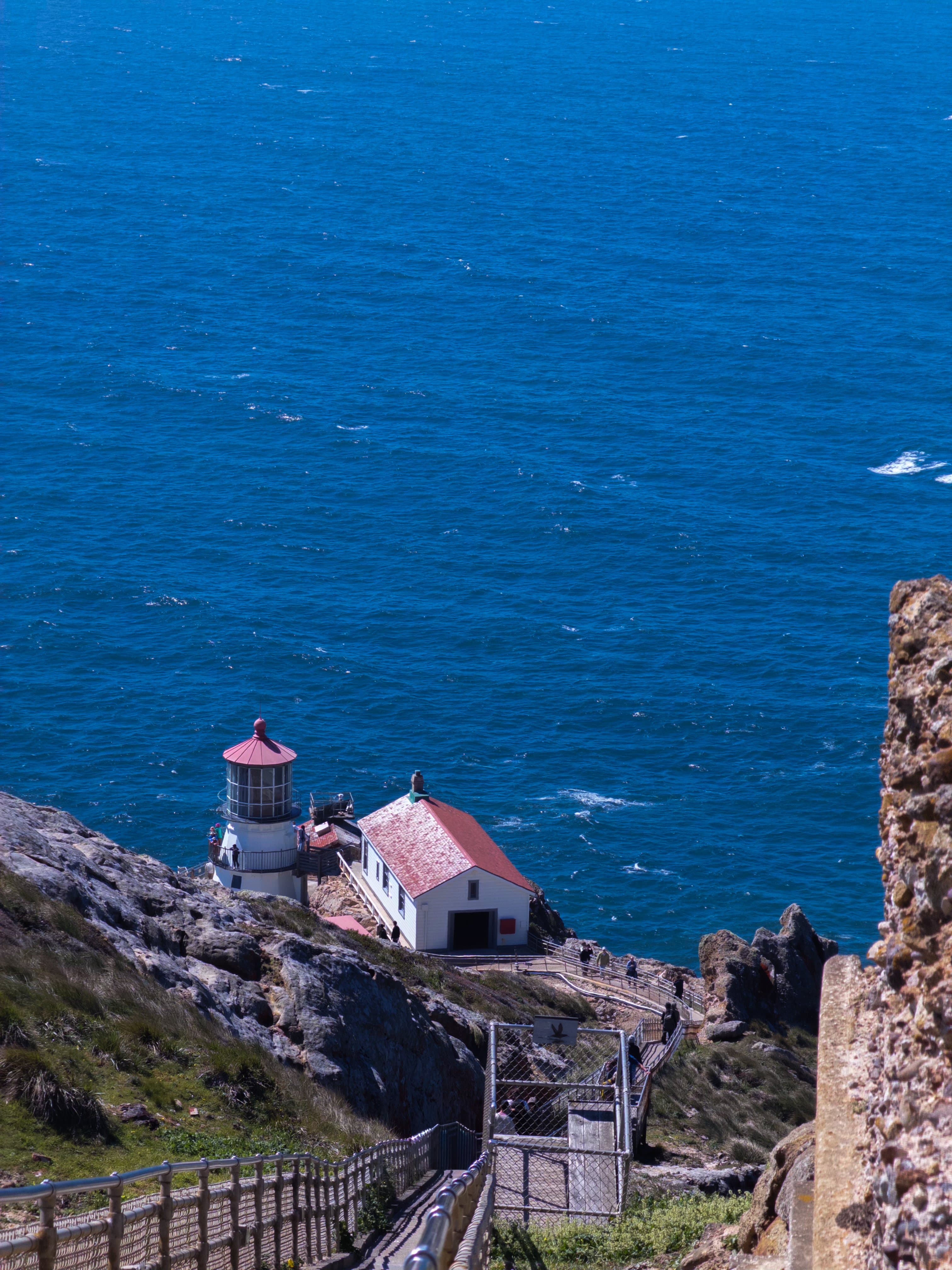 On the Point Reyes Peninsula